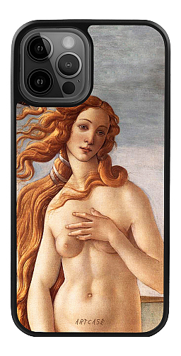  Силіконовий чохол "Народження Венери 3" для Iphone 12 Pro